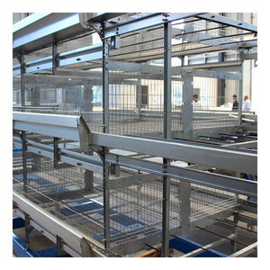 Cage d'élevage de poulets, nouveau Type, fabrication automatique de couches, équipement d'élevage de volaille, <span class=keywords><strong>prix</strong></span> attractif - Product Image 1