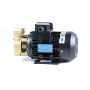 Fabricante Chino de Bomba de Circulación de Agua y Aceite Caliente de Alta Calidad SUS304 para Sistema de Control de Temperatura Aulank - Product Image 2
