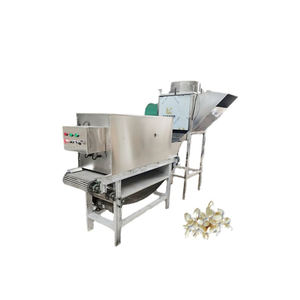 خط إنتاج تقشير الثوم الأوتوماتيكي، مصنع كامل لمعالجة الثوم الصناعية - Product Image 6