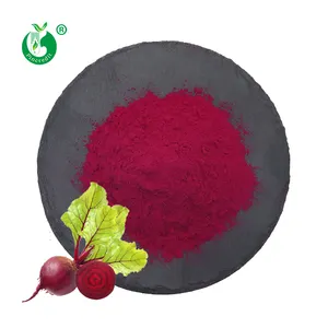 China Supplier Wholesale Beet Root Powder Red Beetroot Juice Powder