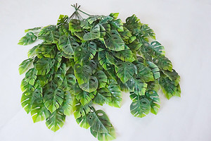 <span class=keywords><strong>Plante</strong></span> artificielle murale en plastique de haute qualité, feuilles vertes simulées, écologique, Monstera <span class=keywords><strong>Albo</strong></span> multicolore pour la vente en gros - Product Image 2