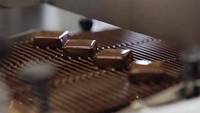 Nouvelle machine à tempérer le chocolat en acier inoxydable 304, machine à enrober les biscuits, contrôle précis de la température, capacité de 2 m/minute