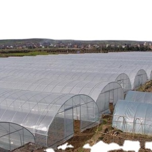 Invernaderos de túnel de polietileno ecológicos en venta, invernadero multiterminales con estructura y película plástica transparente para uso agrícola de hortalizas - Product Image 4