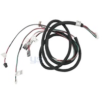 Arnés de cableado personalizado automotriz Ensamblaje de cable multinúcleo con conectores para Módulo de Control de sensor ECU de coche OEM ODM