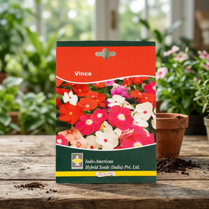 IAHS VINCA PACIFICA XP MIX Vinca <b>Seeds</b> 25 <b>Seeds</b> Pack Multi-Colored Product Category - Product Image 3
