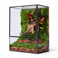 Terrarium de mousse stabilisée, mini paysage artistique dans une boîte en acrylique, mousse séchée naturelle, ornement de bureau, vente en gros, décoration de table pour la maison et le bureau
