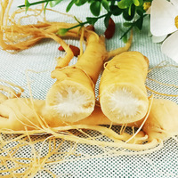 Racine de ginseng Panax de qualité supérieure pour infusion de vin/liqueur, ginseng entier séché, idéal pour la fabrication de vin tonique maison au ginseng