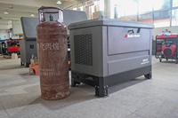 15-30KVA 4-Zylinder Dual-Fuel-Generator Benzin Erdgas Geräuscharm ATS Automatischer Start Robuster Stahlrahmen Direkt ab Werk
