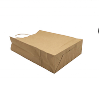 Sac en papier kraft personnalisé avec poignée Flexiloop, écologique, recyclable, impression numérique, logo, ruban noué pour l'emballage et le shopping