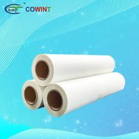 Cowint A3 impression numérique brillant lumineux DTF PET Film rouleau feuilles 15cm et 30cm transfert de chaleur à haute température pour vêtements