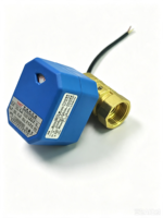 Mini vanne à boisseau sphérique motorisée en laiton, actionneur électrique 2 voies DC12V 24V AC220V 1/2" 3/4" 1" pour eau, gaz, huile, CVC, OEM ISO9001 CE