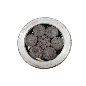 Corde en <span class=keywords><strong>fil</strong></span> d'acier de mètre avec câble <span class=keywords><strong>transparent</strong></span> souple flexible enduit de PVC Corde de rideau d'éclairage Cordes de <span class=keywords><strong>suspension</strong></span> 1/2/3/4/5/6mm - Product Image 5