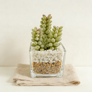 Plante artificielle réaliste à 3 têtes de baies succulentes, faux fruits dans un pot en verre avec galets, décoration naturelle pour la maison - Product Image 5