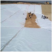 Tissu géotextile en PP tissé à haute résistance pour le renforcement routier et la protection des côtes contre les vagues