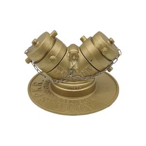 Colector de Agua de Hierro Dúctil Siamés, Equipo Contraincendios para Fábricas de Aceite Comestible y Sistemas de Protección Contra Incendios - Product Image 1