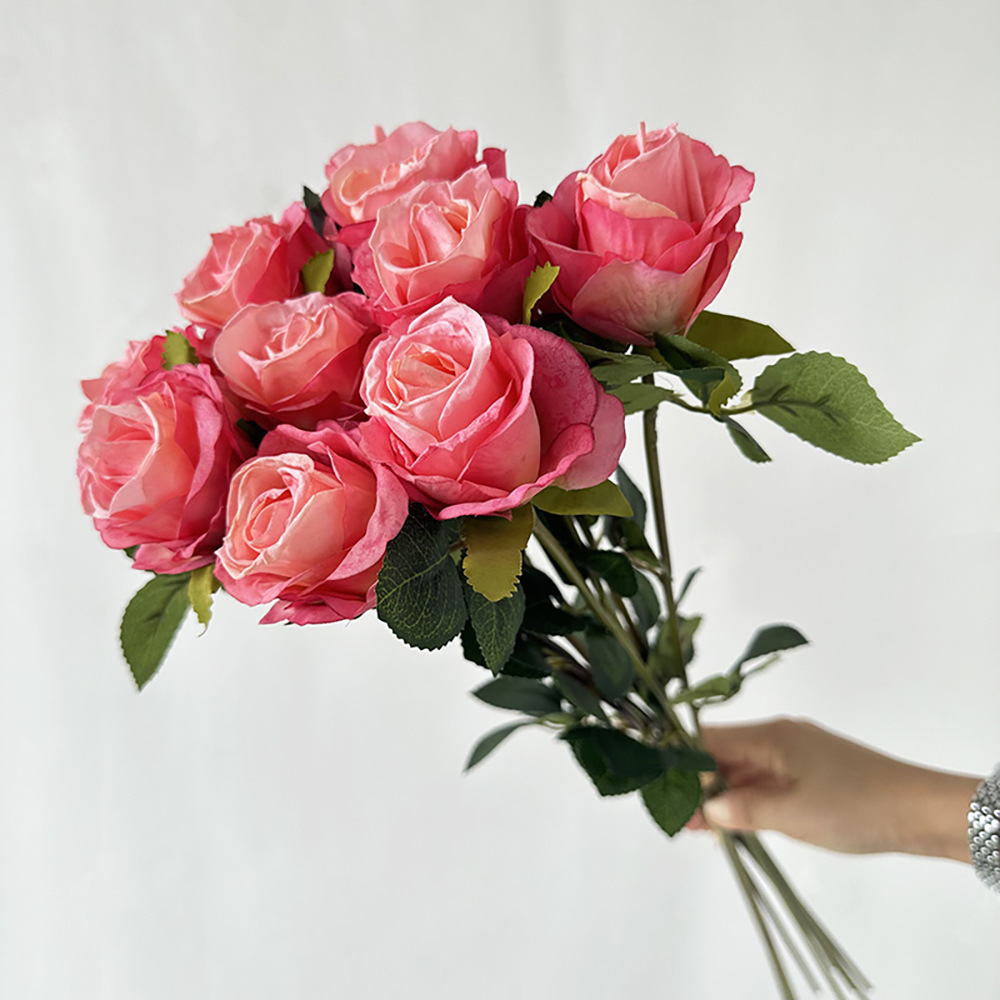 Rose bulgare à 10 têtes, têtes brûlées roses
