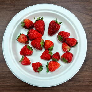 100% Compostable Disposable Biodegradable 3-Compartment Food Container Plate