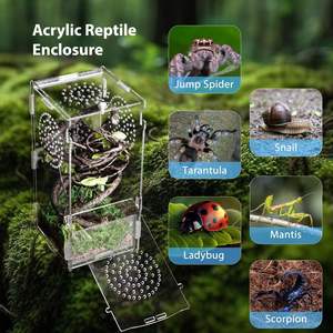حاوية عنكبوت القفز، موئل العنكبوت الصلاة من الأكريليك، حوض للحشرات، قفص للزواحف الصغيرة مع قفل آمن - Product Image 6