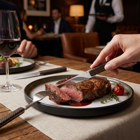 Couteau à steak en acier inoxydable personnalisé OEM, manche ABS antidérapant, vente en gros de couverts pour restaurants, en vrac