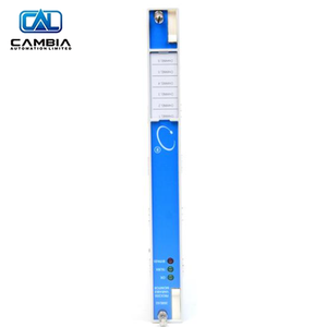 Nouveau produit : Moniteur de température Nevada 3500/61-SIL2-01-05, compatibilité Fieldbus, connexion fiable pour Foun - Product Image 3