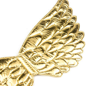 Fournitures de fête personnalisées pour enfants, accessoires de Costume de fête d'anniversaire pour garçons, ailes de dinosaure, ailes de chauve-souris - Product Image 3