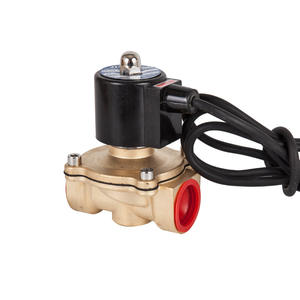 Vannes solénoïdes en laiton étanches 2W-250-25 Vannes de commande filetées sous-marines pour l'eau, le gaz et l'huile - Product Image 1