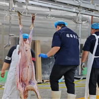 Machine automatique d'abattage de moutons et de chèvre avec le système de dissimulation et de pelage de peau