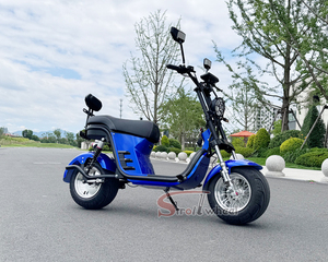 Scooter électrique brésilien Harley Citycoco, nouveau modèle avec moteur avant sans balais de 1000W, 60V20Ah, pneus larges, best-seller au Brésil - Product Image 3