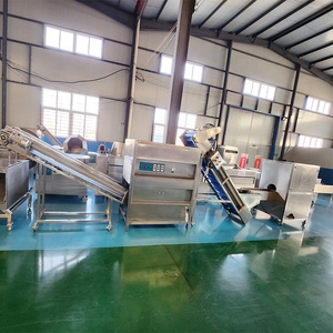 DY hành tây Nhẫn làm cho dây chuyền sản xuất 500 kg/giờ hành tây cắt gốc và máy lột 1000 kg/giờ hành tây Nhẫn Máy làm - Product Image 6