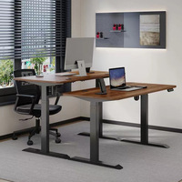 Vente en gros d'usine mobilier de bureau à bas quantité minimale de commande bureau d'étude à domicile électrique à hauteur réglable