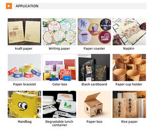 Impresora <span class=keywords><strong>TUCAN</strong></span> 300A de una sola pasada, tamaño A3, nueva, ancho de impresión de 300 mm para tarjetas, bolsas de embalaje y cajas, para imprentas. - Product Image 4