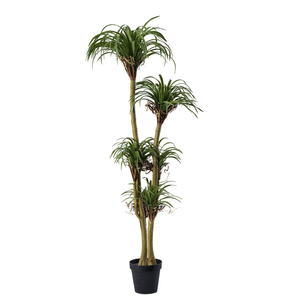 Simular plantas verdes sensación avanzada dragón sangre árbol Tropical Pseudo plantas Agave plantas en maceta Sisal cáñamo <span class=keywords><strong>Cola</strong></span> <span class=keywords><strong>de</strong></span> <span class=keywords><strong>Caballo</strong></span> hierro - Product Image 6