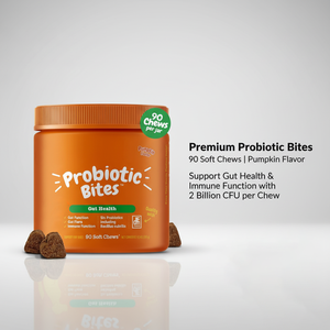 Integratori per la Salute degli Animali Domestici OEM con Etichetta Privata: Probiotici Naturali per Cani, Compresse Morbide per il Supporto Immunitario, Miscela di Enzimi e Omega-3 - Product Image 1