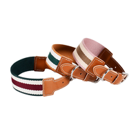 Collier de chien personnalisable de haute qualité pour chiens de taille moyenne Motif d'impression directe d'usine Sangle rembourrée en cuir Corde de traction chat