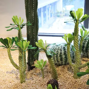 Cactus <span class=keywords><strong>Haworthia</strong></span> Artificiale in Plastica di Alta Qualità per Paesaggistica Desertica - Alta Simulazione per Uso Interno/Esterno Naturale - Product Image 1