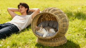 Letto Rialzato per Gatti in Vimini Ecologico, Design Resistente, Morbido e Confortevole per Animali Domestici Pelosi - Product Image 6