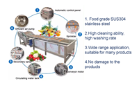 Industriële Automatische Bubbel Wasmachine Voor Fruit/Groente/Zeevruchten Aardappel Wortel Dadels Vis Garnaal Reinigingsapparatuur
