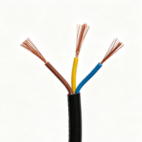 Câble industriel 600V en cuivre pur gainé flexible pour extérieur 1,5mm² RVV 2 conducteurs avec isolation PVC ignifuge