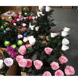 Arranjo de flores preservadas rosas haste preservada rosa completa com haste