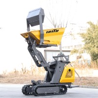 Kostenloser Versand: Neuer multifunktionaler 800kg Mini-Raupendumper mit Hydraulik und Benzinmotor für Bau- und Landwirtschaft