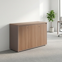 Armoire de rangement de bureau à 2 portes, armoire basse en bois grainé avec étagère réglable, armoire de classement robuste sous le bureau