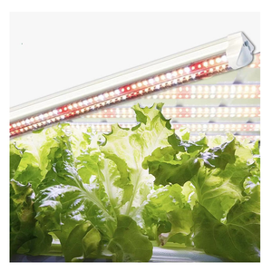 Lámpara LED T8 de Alto Rendimiento y Espectro Completo para Cultivo, Reemplazo para Vegetales, Invernaderos y Cultivos Verticales, de Aluminio - Product Image 2
