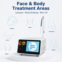 Appareil de lifting laser Endo Lipo 980 1470nm Diode Laser raffermissant du visage Endolaser Machine de remodelage corporel Liposuccion