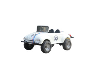รถสามล้อ KNL SU YANG 1500W รุ่น <span class=keywords><strong>Trike</strong></span> Racing ATV ZTR <span class=keywords><strong>Roadster</strong></span> แบบมีเกียร์ถอยหลัง สำหรับผู้ใหญ่ ขาย - Product Image 3