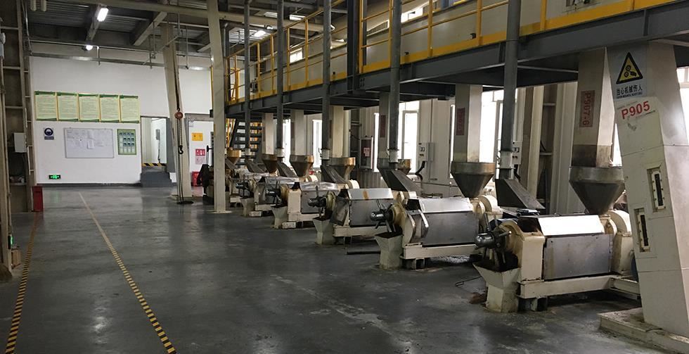 Huile d'arachide à vis Unique d'avocat hydraulique roulette presseurs d'huile de Ligne