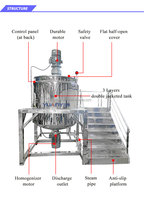 Solution clé en main 1000LPH CE, cuve de mélange homogénéisatrice personnalisée, ligne de production de liquide de lavage, équipement de fabrication de détergent et de savon