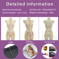 Kustomisasi Pabrik Grosir Wanita Seksi Bondage Harness Elastis Rantai Bra Lingerie Eksotis Sabuk Rantai Tubuh Gothic Lingerie