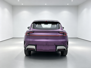Simpatica Mini SUV Elettrica Verde <span class=keywords><strong>per</strong></span> Donne, 4 Porte, 5 Posti, fino a 50 km/h, Veicolo <span class=keywords><strong>per</strong></span> Pendolarismo Urbano e Uso Quotidiano - Product Image 5