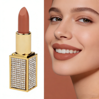 Vente en gros de rouge à lèvres mat vegan à 100 %, marque privée, longue tenue, faible MOQ, 5 g, maquillage minéral imperméable, fini velours