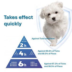 อาหารเสริมแบบเคี้ยวชนิดนุ่มสำหรับสุนัขพันธุ์ใหญ่ ป้องกันเห็บหมัด ปรับแต่งได้ตามความต้องการของผู้ผลิต (OEM) ขนาด 2040 กก. ป้องกันได้นาน 12 สัปดาห์ ดูดซึมเร็ว เสริมภูมิคุ้มกัน - Product Image 3